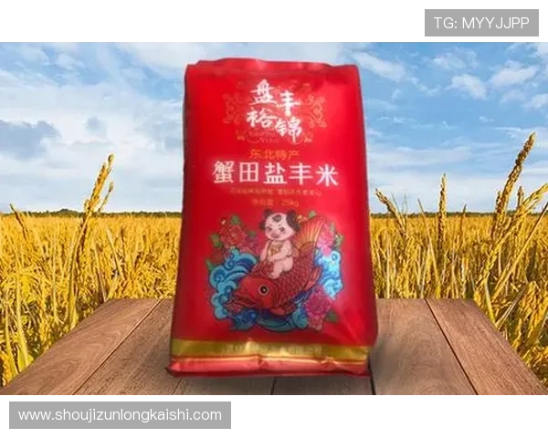 探寻尊龙凯时登录入口的便捷途径与使用技巧