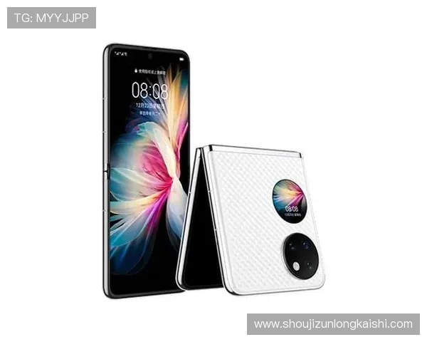 尊龙app电脑版下载安装失败怎么办?详细解决方案推荐